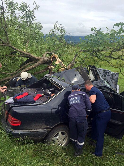 На Закарпатті авто "залетіло" на дерево: водій загинув, троє травмовані, один пасажир втік. Фото