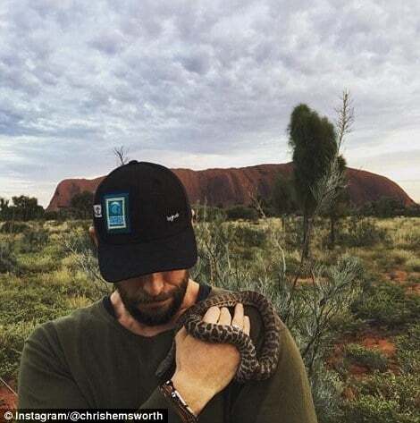 Тор на отдыхе: Крис Хемсворт с семьей совершил путешествие по Австралии