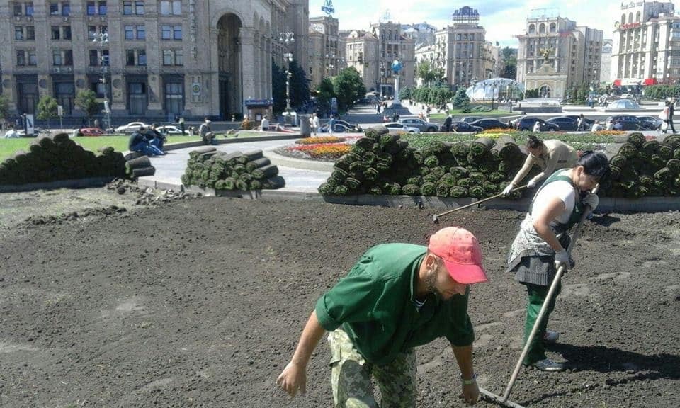 В Киеве на Крещатике расстелили траву: опубликованы фото