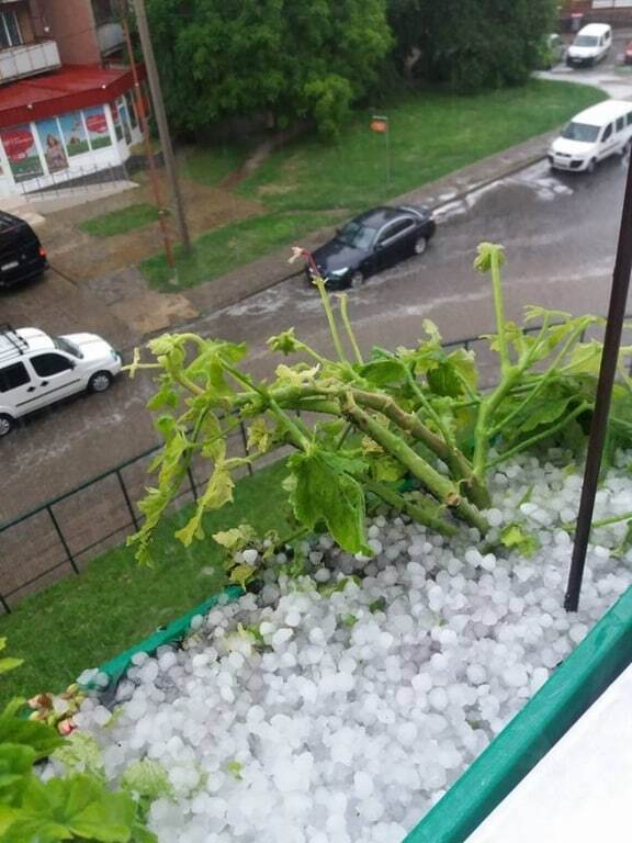 Біда врожаю: Луцьк накрила жахлива злива з градом
