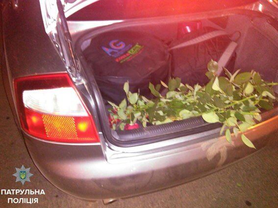 Романтики-невдахи: поліція Полтави затримала жителів, котрі зрізали 60 троянд з клумби. Фото 