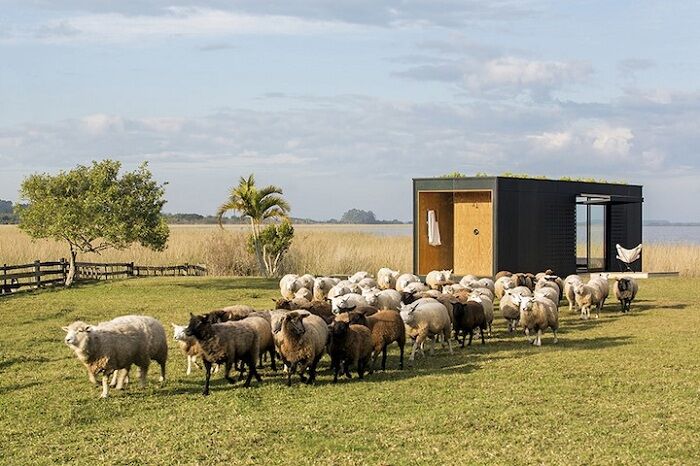 ТОП-10 креативных и компактных домиков для жизни. Фото