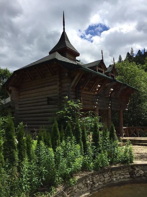Все замерло, заросло, неухожено: в сети опубликовали фото резиденции Ющенко в Карпатах