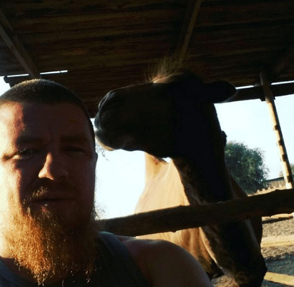 Террорист Моторола отдохнул с верблюдами под Ростовом. Фотофакт