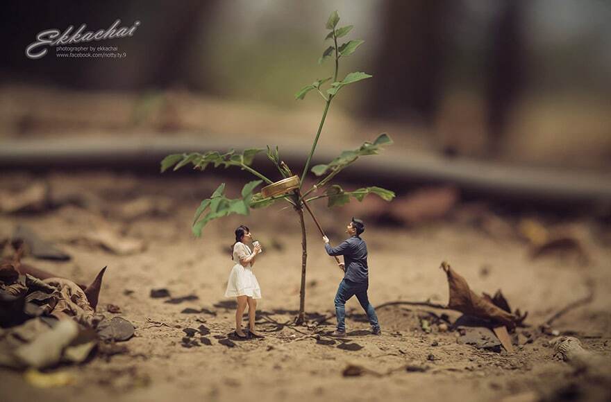 Свадебный фотограф превращает пары в миниатюрных людей: удивительные кадры