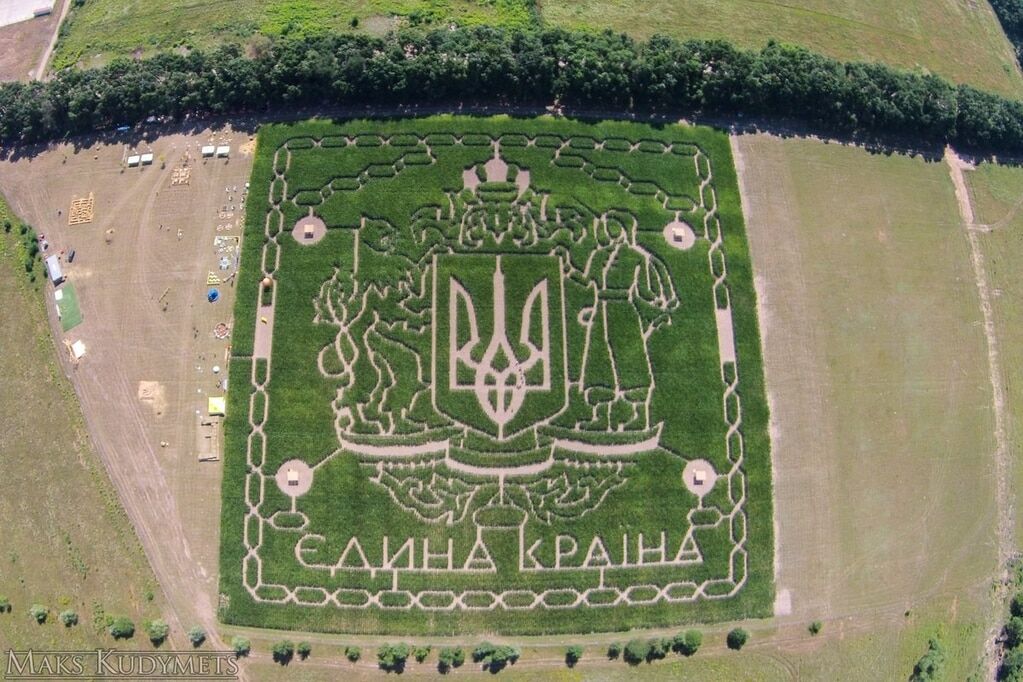 В соцсети появились фото гигантского патриотического лабиринта из кукурузы под Киевом