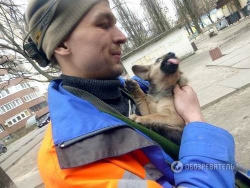 Команда спасения животных: мы выручали из беды оленя на стадионе, аиста на Майдане, котов на карнизах