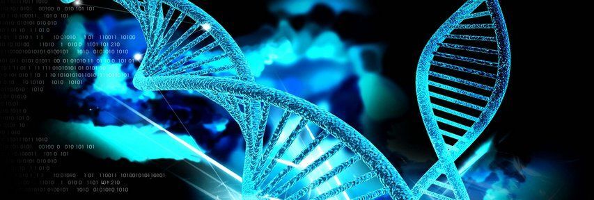 Ученые рассказали, как вредные наследственные мутации могут приносить пользу