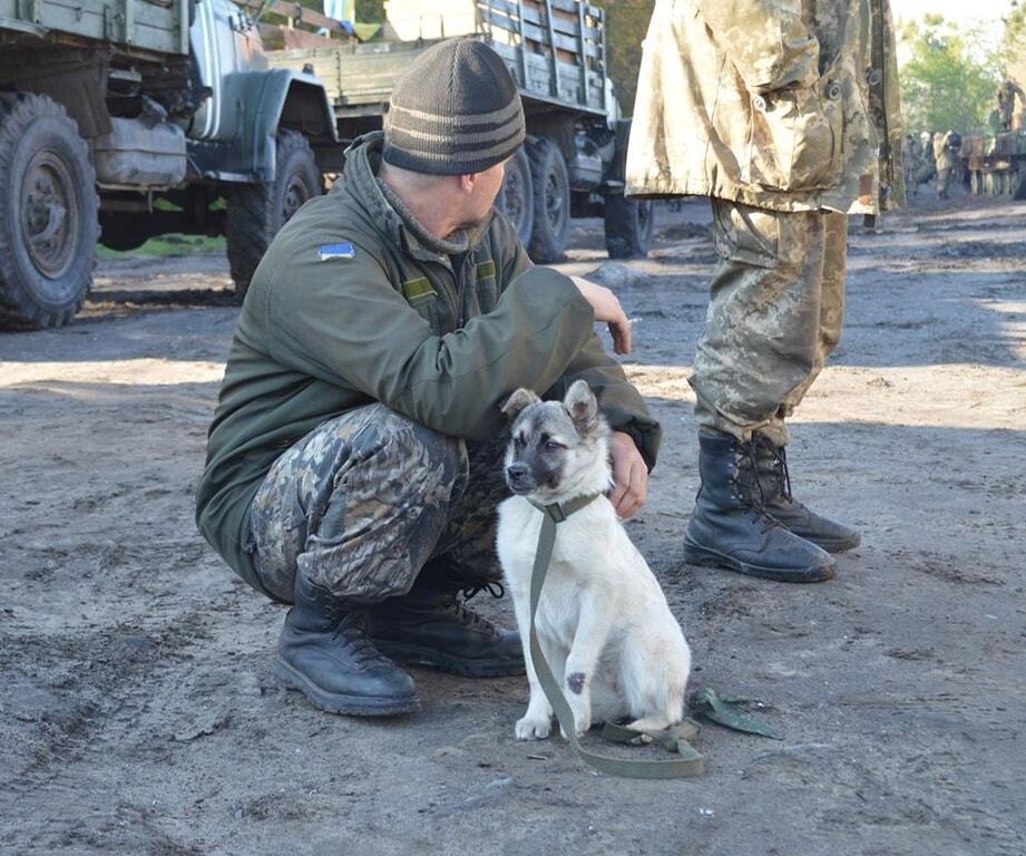 Возвращение героев: сеть покорили трогательные фото воинов АТО с верными друзьями. Фоторепортаж