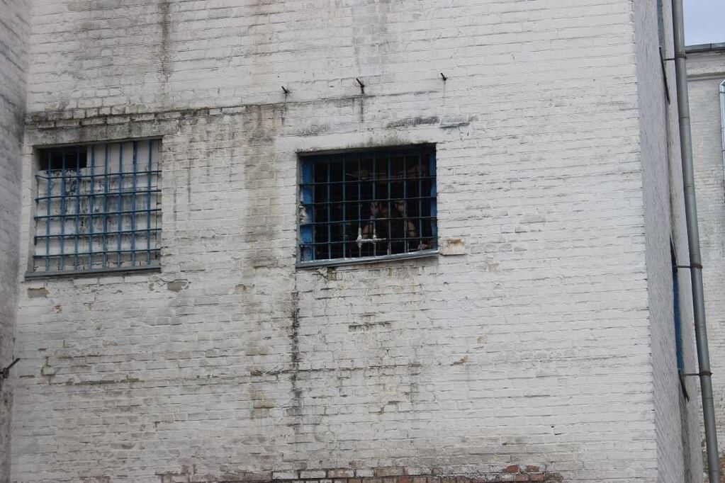 2,5 кв м на ув'язненого: опубліковані гнітючі фото з Лук'янівського СІЗО