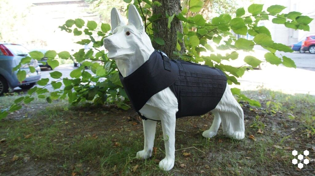 Украинские конструкторы создали бронежилет для собак: фотофакт
