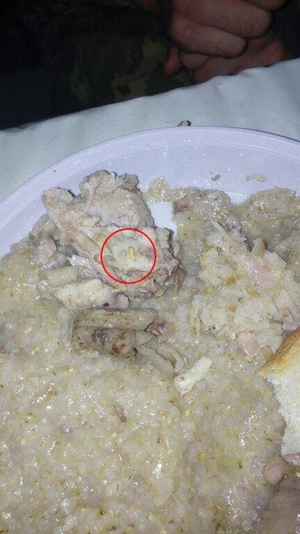 8 бойцов отравились: Бирюков показал тараканов и червяков в солдатской еде. Фотофакт