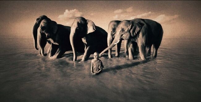 Топ-10 фильмов, которые неподвластны времены