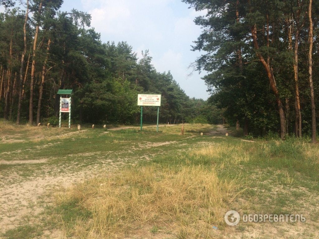"Господар тайги": в Лісовому масиві Києва замість незаконного будівництва виявили кіностудію
