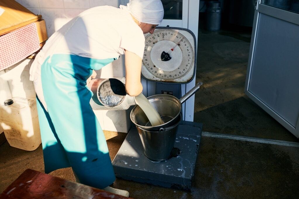 Чарівна Україна: як швейцарська сироварня змінила життя села