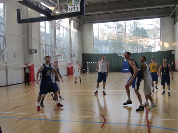 Кравцов: збірна України у Німеччині вирішуватиме важливі завдання