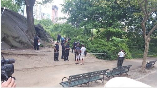 Центральний парк Нью-Йорка сколихнув потужний вибух, є жертви