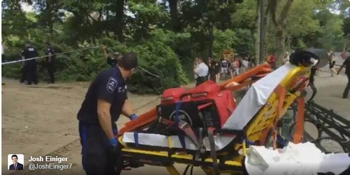 Центральный парк Нью-Йорка потряс мощный взрыв, есть жертвы