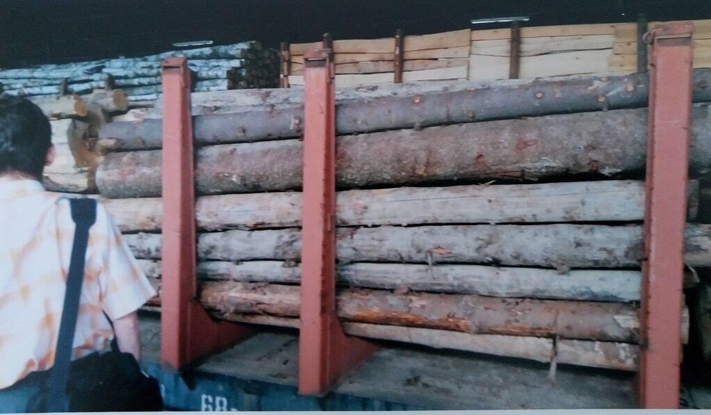 Москаль: Гослесагентство открыто крадет и торгует древесиной с Россией