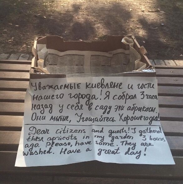 Миті, зі свого саду: в Києві незнайомець виставив у парку ящик із частуванням