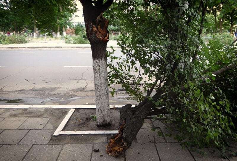 Короткочасна буря: в Ізмаїлі ураганний вітер повалив дерева