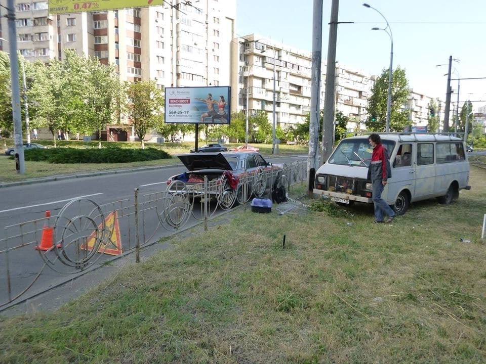 В Киеве спасли котенка, которого дети засунули в столб