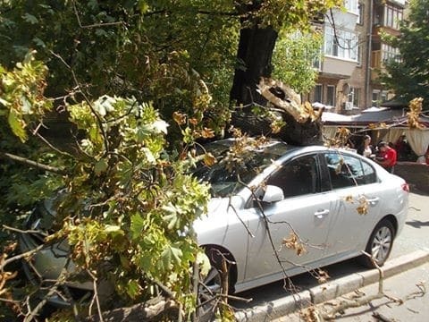 Непогода в Киеве: бушует сильный ветер, ожидается гроза