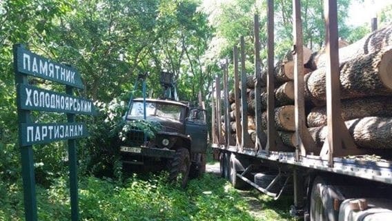 Томенко показал, как "лесная мафия" уничтожает Холодный яр: опубликованы фото