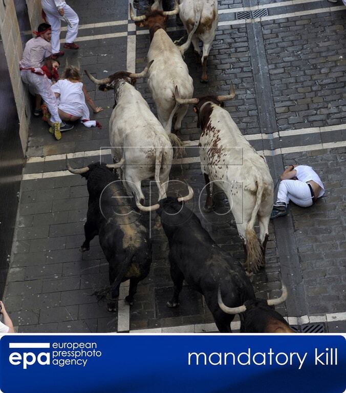В Испании быки во время забега затоптали четверых человек: опубликованы фото и видео