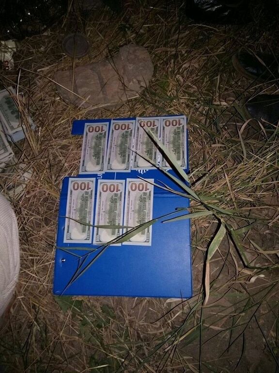 "Вони закопують банки з доларами на грядках": затримання судді Чауса шокувало соцмережі