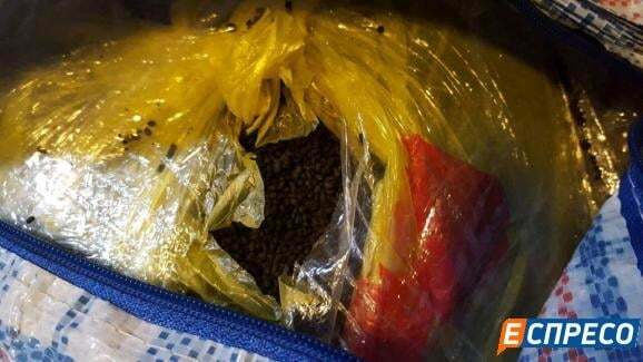 Перевозил 120 кг: полиция задержала на вокзале в Киеве мужчину с 3 сумками наркотиков. Фотофакт