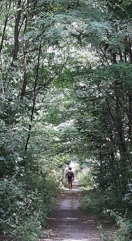 Человек соединяется с природой: в сети показали киевского "Тарзана". Фотофакт