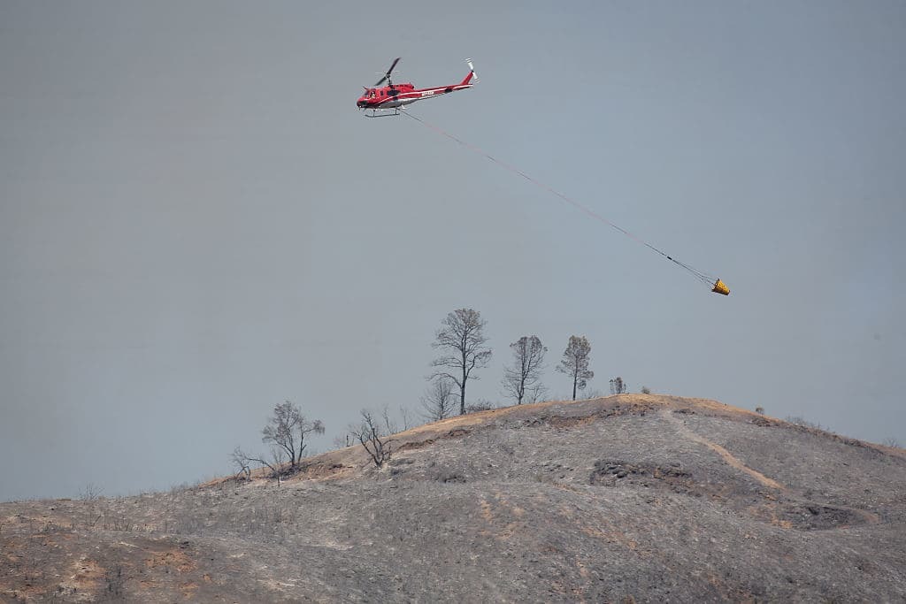 Каліфорнію охопили масштабні лісові пожежі, згоріли сотні будинків