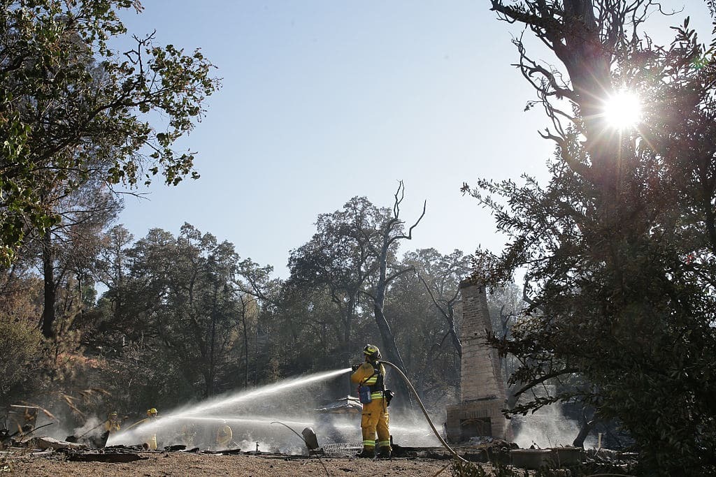 Каліфорнію охопили масштабні лісові пожежі, згоріли сотні будинків