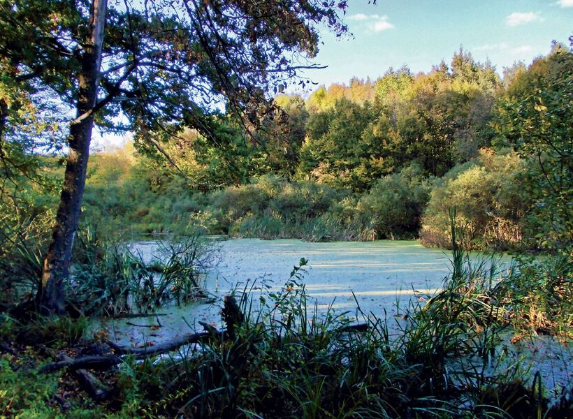 Україна вражає: пам'ятки природи, походження яких науковці не можуть пояснити