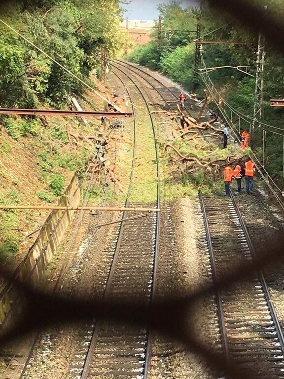 Во Франции поезд врезался в дерево: десятки пострадавших