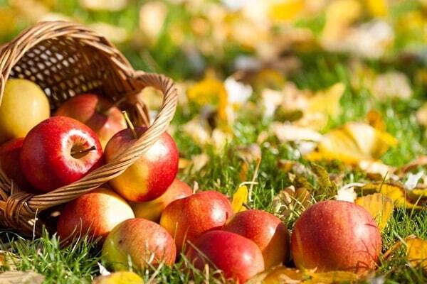 Яблочный Спас: традиции и приметы праздника