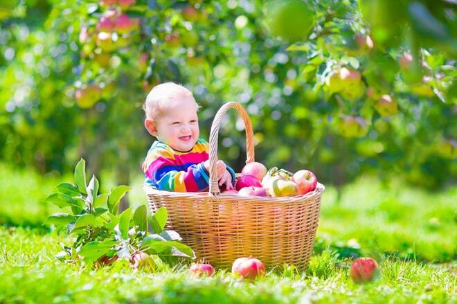 В Украине отмечают Яблочный Спас: лучшие поздравления с праздником