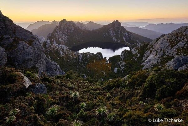 Жаба задавила: опубликованы победители фотоконкурса Nature Photographer of the Year 2016