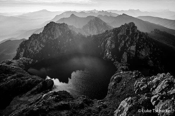 Жаба задавила: опубликованы победители фотоконкурса Nature Photographer of the Year 2016