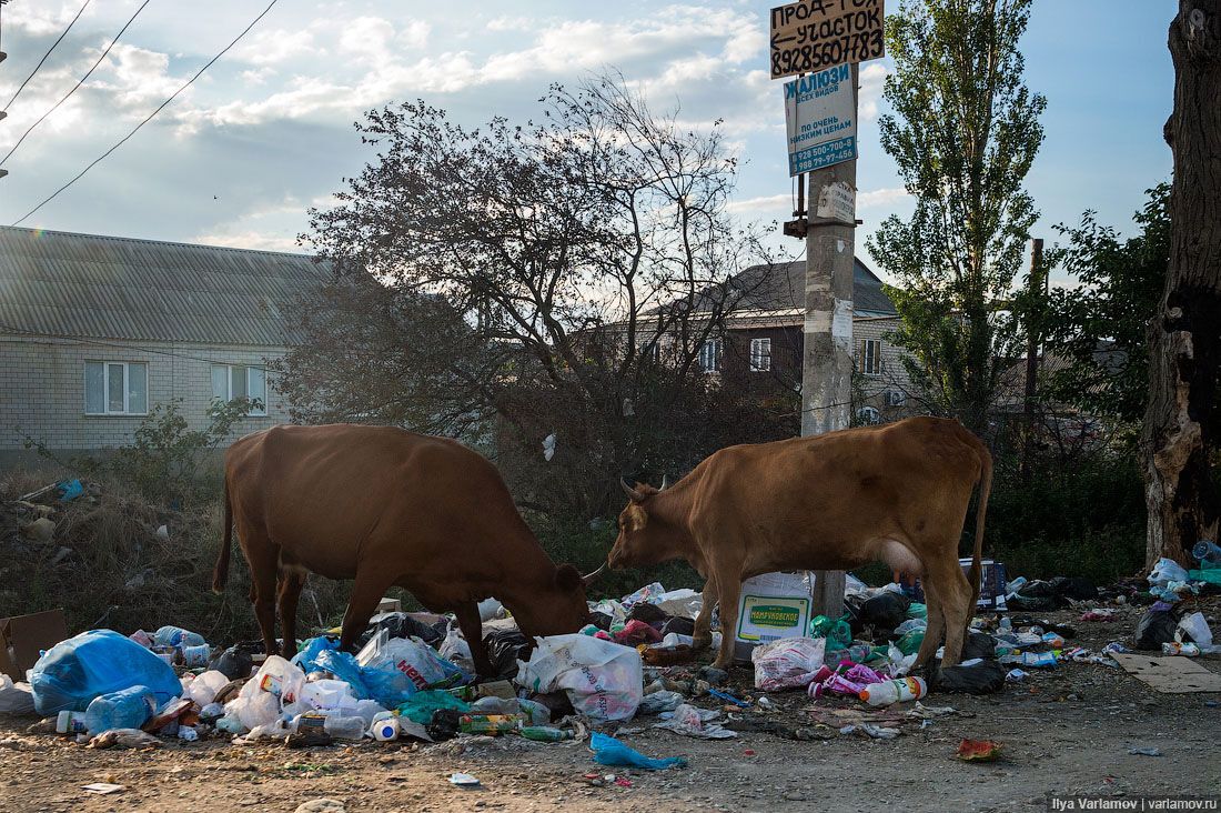 Мусорная столица России: опубликованы фото "самого загаженного города на земле"