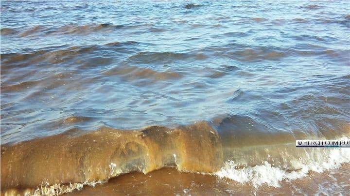 "Мы ужаснулись": Азовское море в Крыму пожелтело
