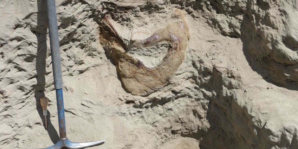 Знахідці 66 млн років: у США виявили цілий череп тиранозавра