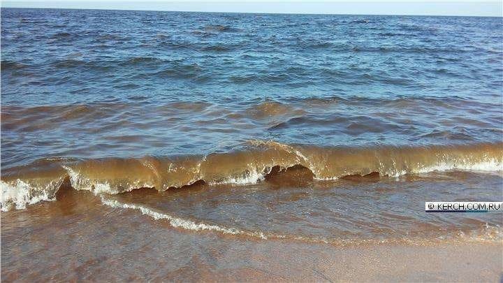"Мы ужаснулись": Азовское море в Крыму пожелтело