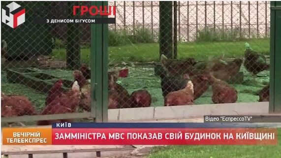 Замість страусів - кури: ЗМІ спіймали екс-заступника Авакова на приховуванні величезного маєтку під Києвом