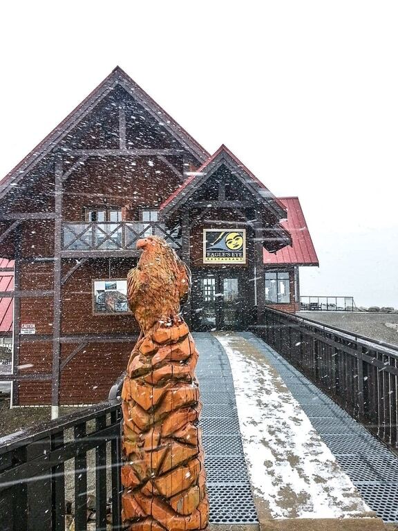 Снег на голову: канадскую Альберту замело. Фотофакт