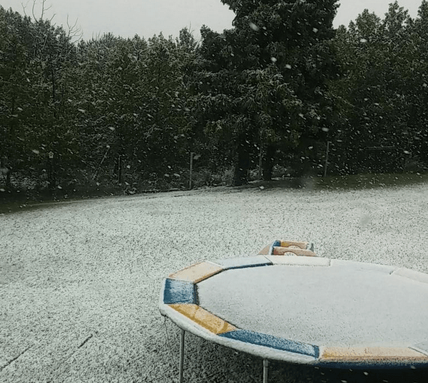 Снег на голову: канадскую Альберту замело. Фотофакт
