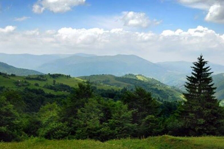 З користю для організму: топ-5 курортів України, де можна схуднути