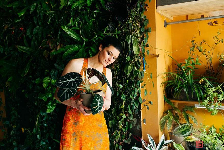 Американская модель превратила свою квартиру в городские джунгли: опубликованы фото