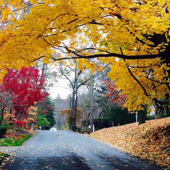 Осень на пороге: топ-15 чудесных снимков золотой поры